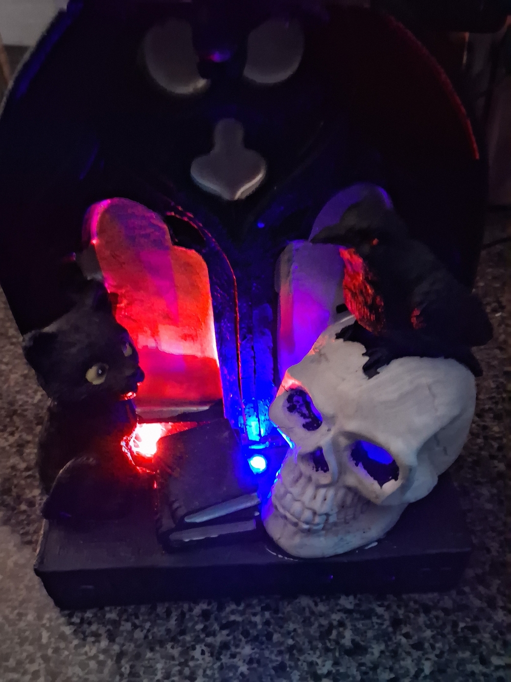 LED Skull and Black Cat Halloween Home Accent - White Skull, Black Cat